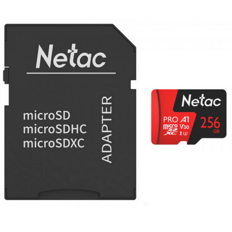 Carte Mémoire 256GO Netac